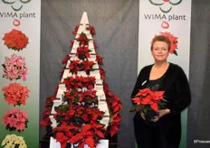 Sabine Hekkelman van WIMA Plant al helemaal in de kerstsfeer met haar Poinsettia Christmas Feelings.